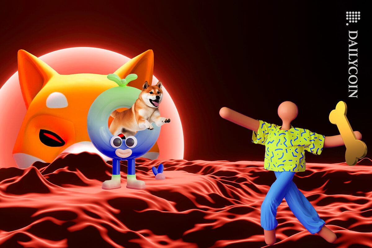 NFT'S playing with Shiba inu and his bone on Shiba land.