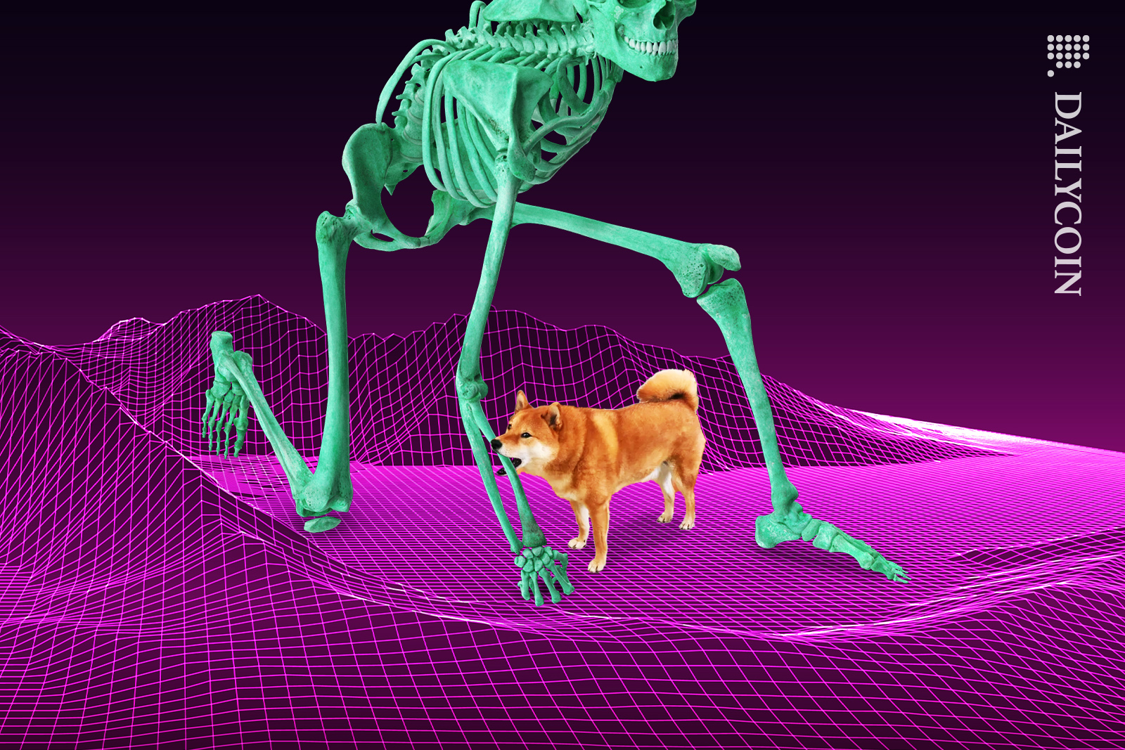 Shiba Inu chewing on a huge skeleton.