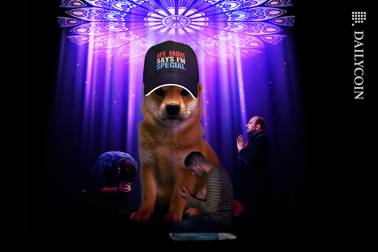 Dogwifhat dog being treated like a god.