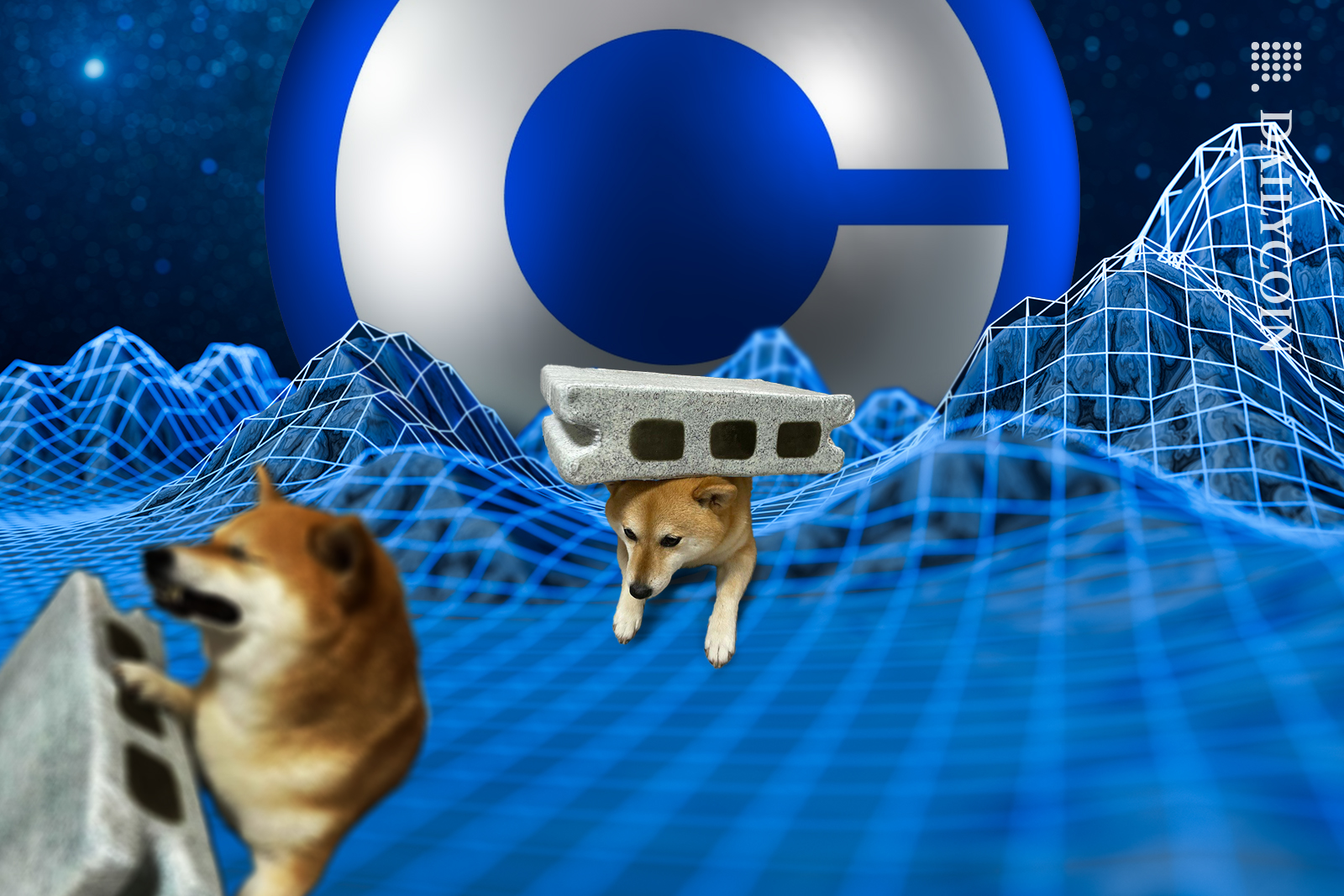Shiba Inu's getting hurt on Coibase land.