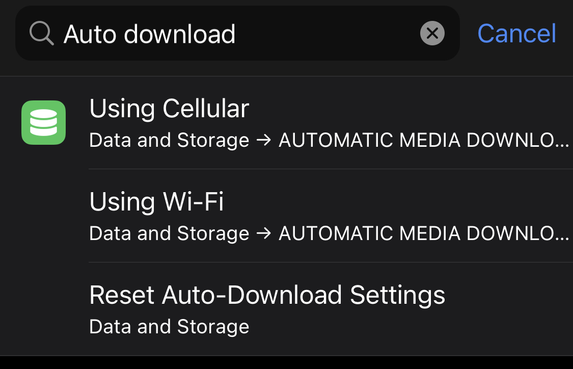Screenshot of the Auto download feature on Telegram