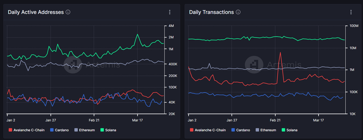 Cardano vs Solana.
