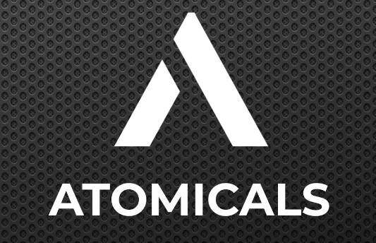 ARC-20 Atomicals.