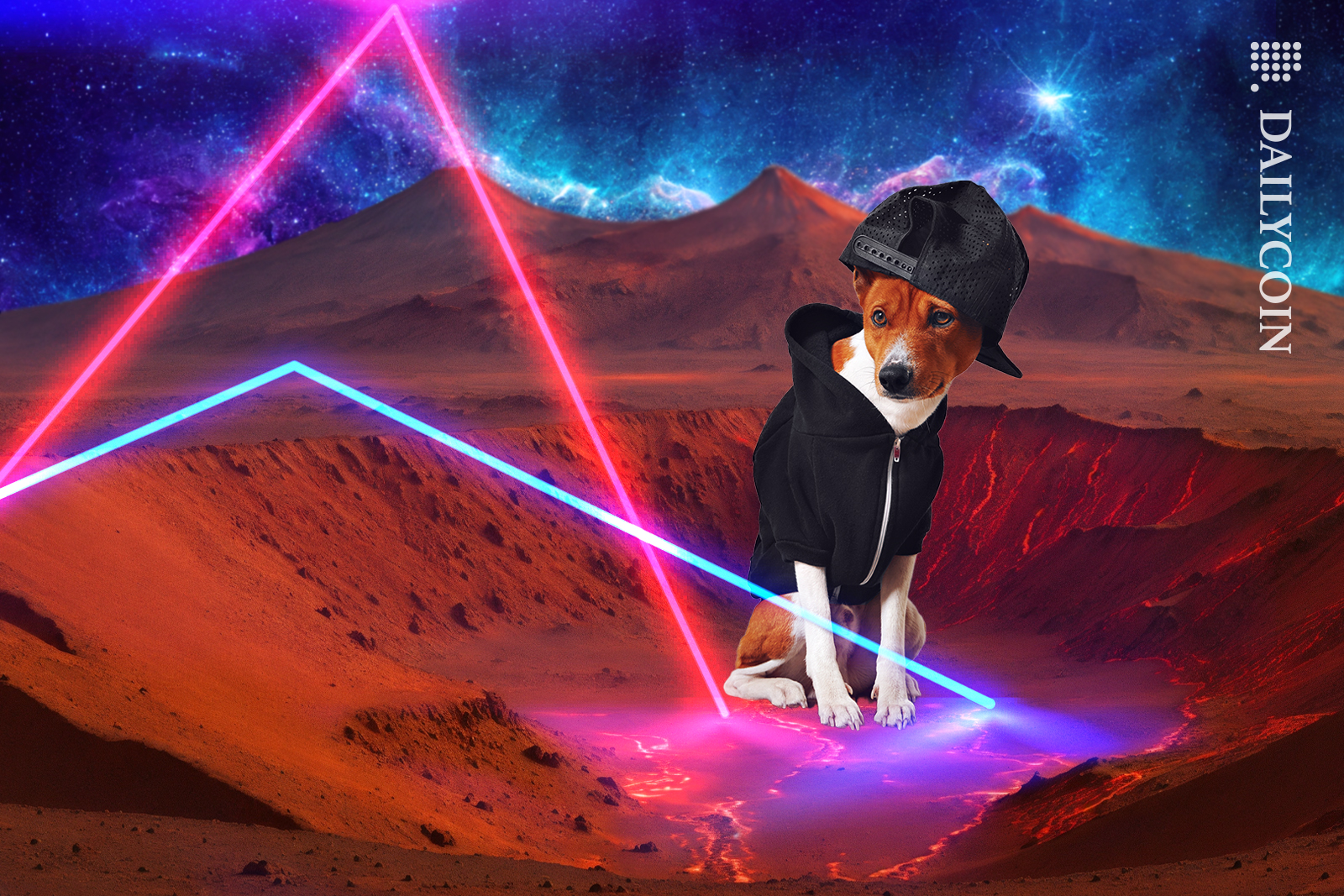 Dog with a baseball hat sitting in a krater as price lines hits it.
