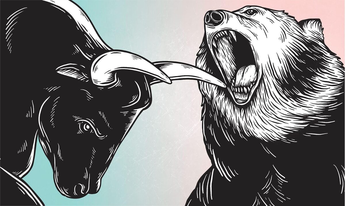 Bull and a bear fighting eachother.