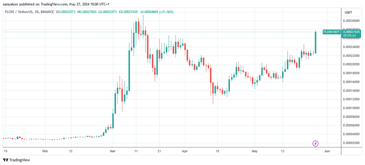 Floki daily price chart in dollars per Trading View