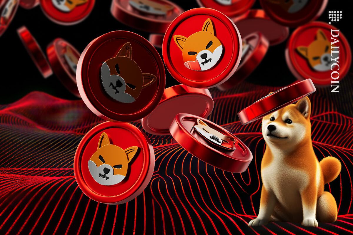 Shiba Inu looking at his tokens rising.