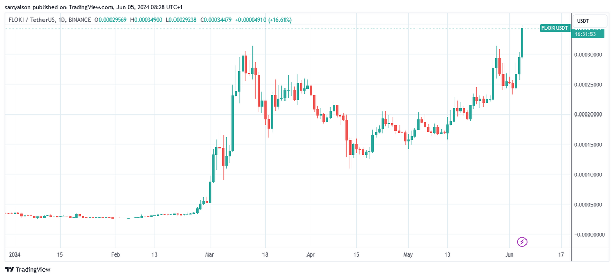 Floki daily chart in dollars showing a new ATH per Trading View