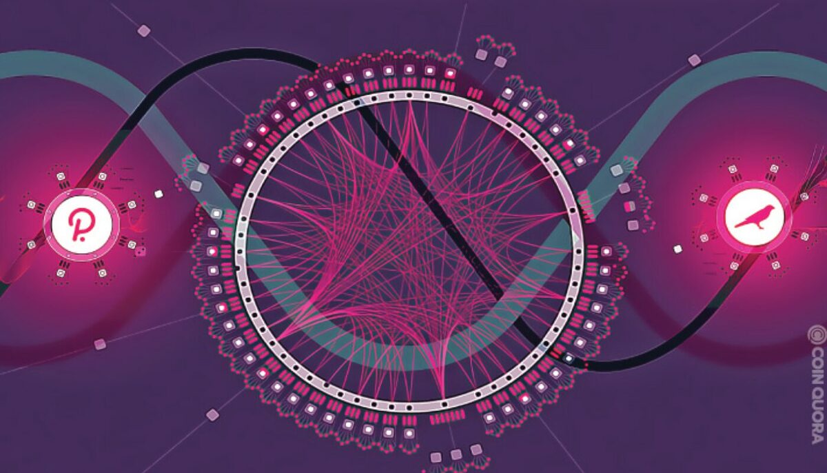 A Large circular pink network in the middle of the screen with the Polkadot and Kusama logos separated on the left and right.