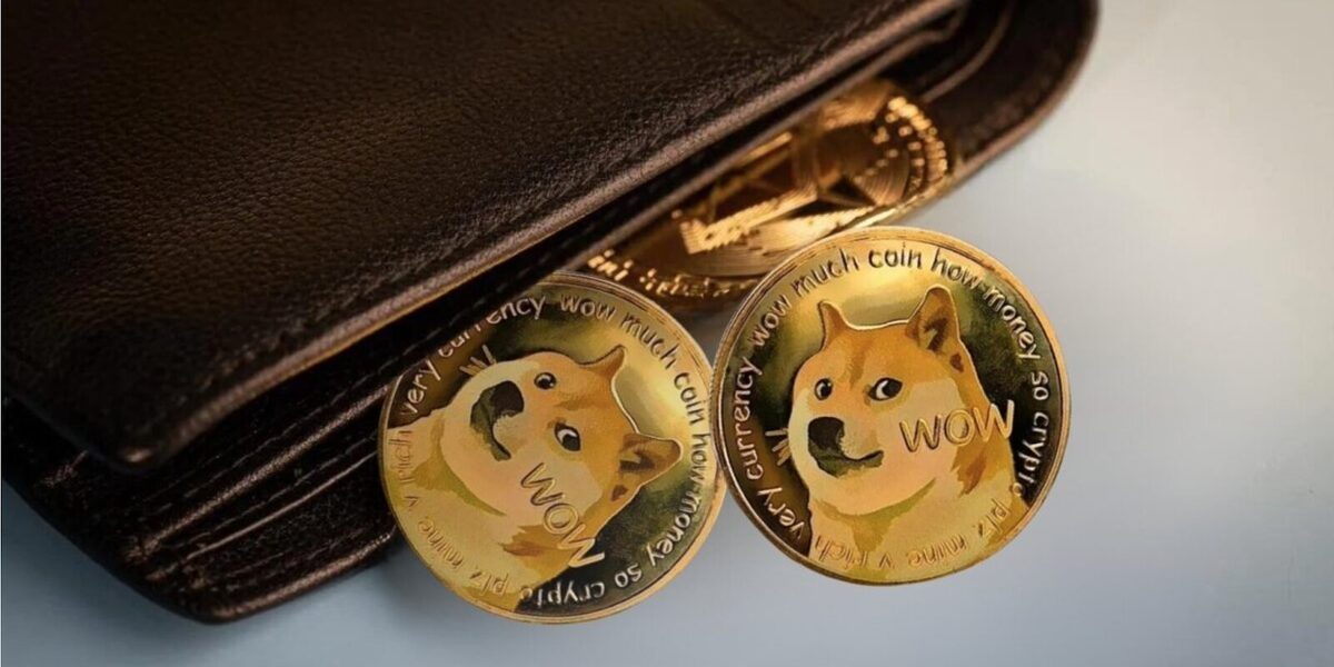 Two tokens with Doge faces on them slipping out of a leather brown wallet.
