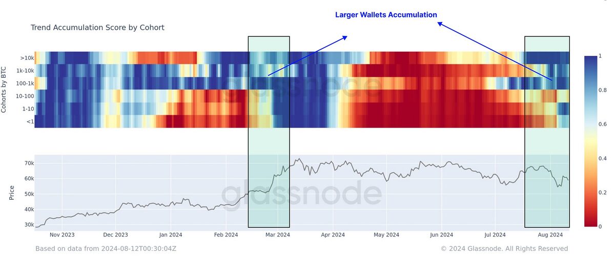 Bitcoin accumulation by cohort showing super whales heavily accumulating per Glassnode.