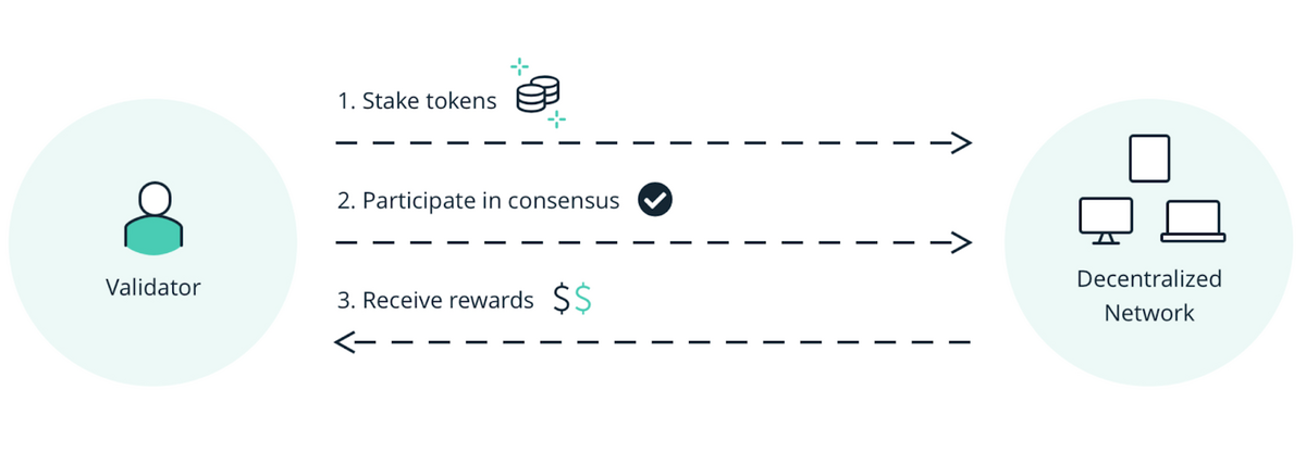 Validator on the left and decentralised networks on the right. The first step is 'Stake tokens' from validator to the network, and step 2 is 'Participate in consensus' which is also validator to network. The third step is 'Receive rewards' which goes the opposite direction.