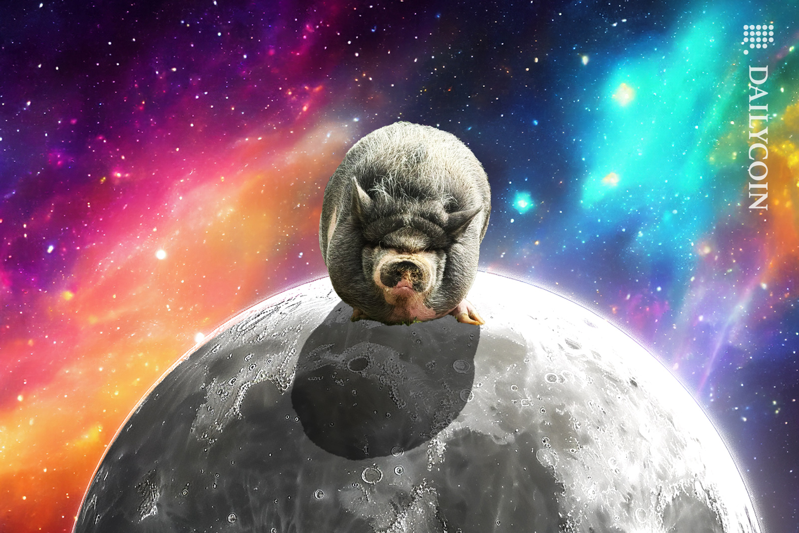 Nike memecoin pig chilling on the moon.