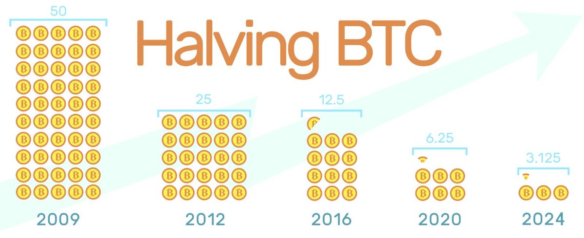 A chart showing the Bitcoin mining rewards being halved from 2009 (50 BTC) up to 2024 (3.125 BTC).