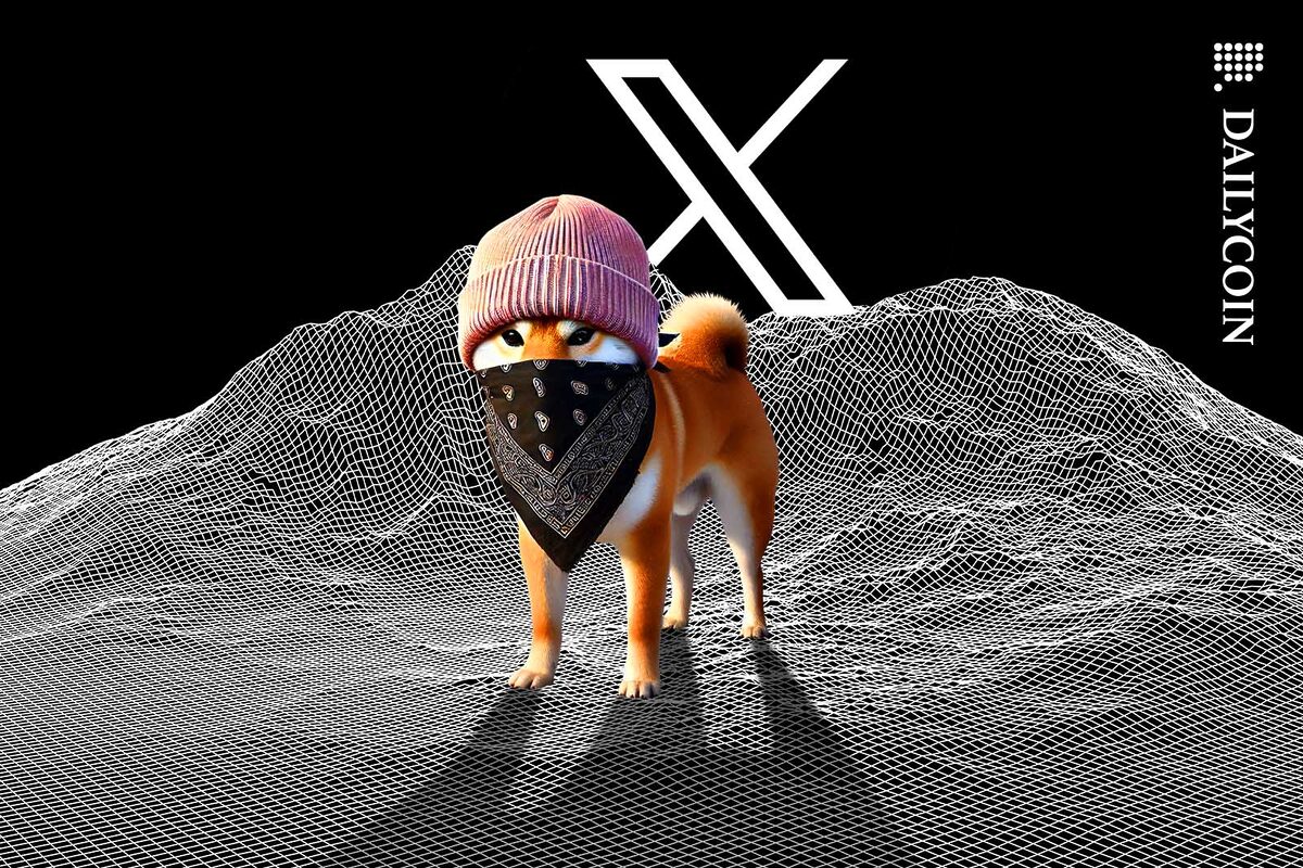 Dog in a pink hat wearing a bandana posing with an X logo.